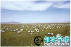 申报畜牧师要符合什么条件