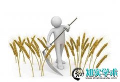 湖南省2020高级农艺师职称申报条件