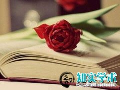 专利可以代替论文评中级工程师吗