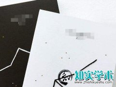 论著专家盲审是什么阶段