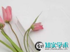 书籍出版费用标准规定