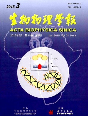 生物物理学报