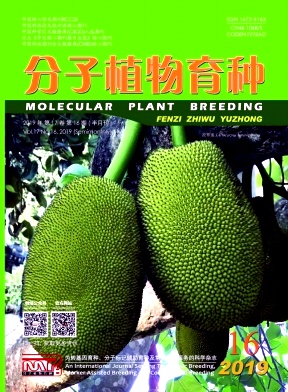 分子植物育种