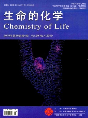 生命的化学