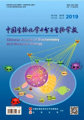 中国生物化学与分子生物学报